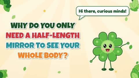 Why Do You Only Need a Half-Length Mirror to See Your Whole Body?
