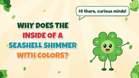 Why Does the Inside of a Seashell Shimmer with Colors?