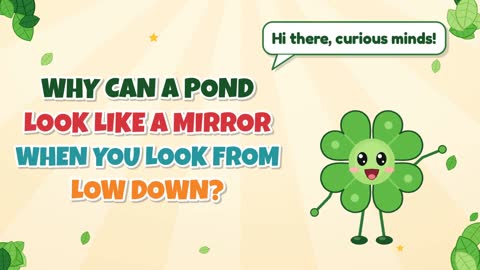 Why Can a Pond Look Like a Mirror When You Look From Low Down?