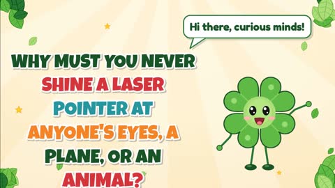 Why Must You Never Shine a Laser Pointer at Anyone's Eyes, a Plane, or an Animal?