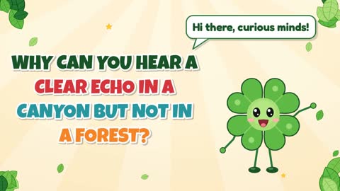 Why Can You Hear a Clear Echo in a Canyon but Not in a Forest?