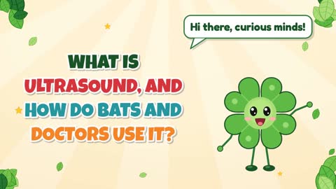 What Is Ultrasound, and How Do Bats and Doctors Use It?