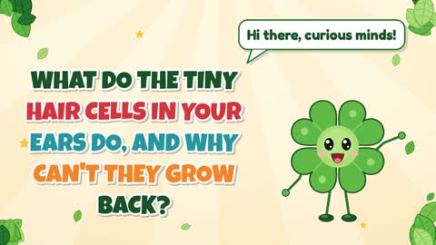 What Do the Tiny Hair Cells in Your Ears Do, and Why Can't They Grow Back?