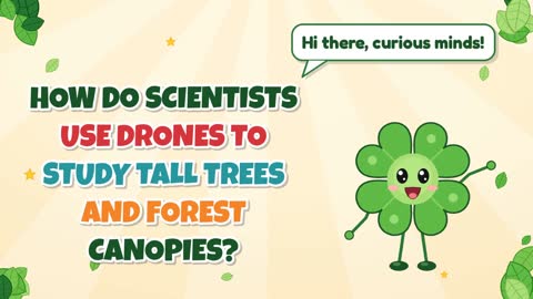 How Do Scientists Use Drones to Study Tall Trees and Forest Canopies?