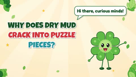 Why Does Dry Mud Crack Into Puzzle Pieces?