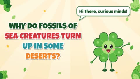 Why Do Fossils of Sea Creatures Turn Up in Some Deserts?
