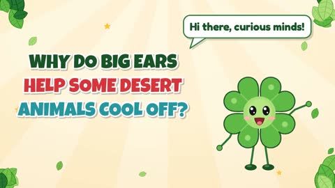 Why Do Big Ears Help Some Desert Animals Cool Off?