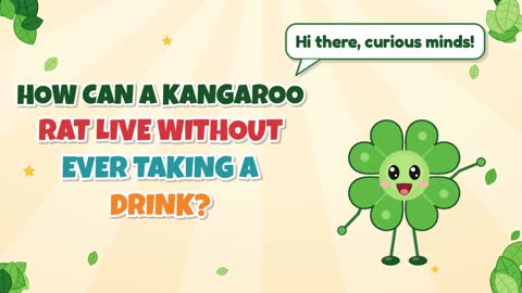 How Can a Kangaroo Rat Live Without Ever Taking a Drink?