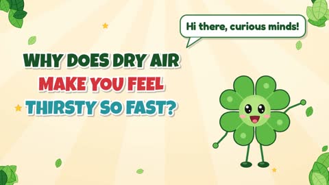 Why Does Dry Air Make You Feel Thirsty So Fast?