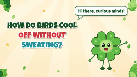 How Do Birds Cool Off Without Sweating?