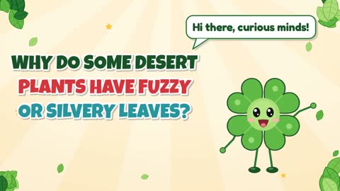 Why Do Some Desert Plants Have Fuzzy or Silvery Leaves?