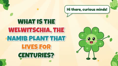 What Is the Welwitschia, the Namib Plant That Lives for Centuries?