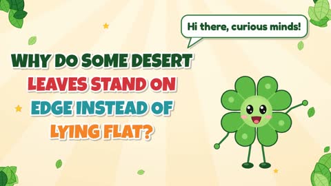 Why Do Some Desert Leaves Stand on Edge Instead of Lying Flat?