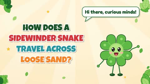 How Does a Sidewinder Snake Travel Across Loose Sand?