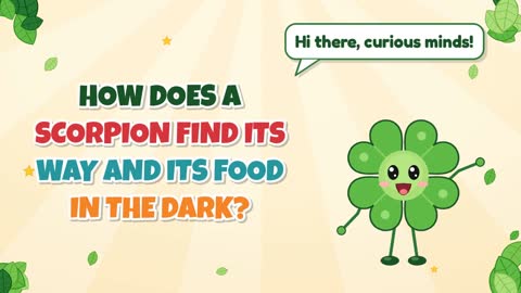 How Does a Scorpion Find Its Way and Its Food in the Dark?