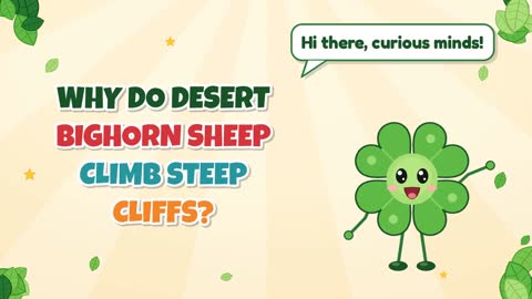 Why Do Desert Bighorn Sheep Climb Steep Cliffs?
