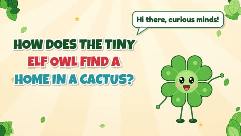 How Does the Tiny Elf Owl Find a Home in a Cactus?