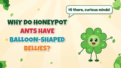 Why Do Honeypot Ants Have Balloon-Shaped Bellies?