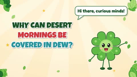 Why Can Desert Mornings Be Covered in Dew?
