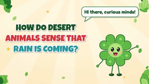 How Do Desert Animals Sense That Rain Is Coming?