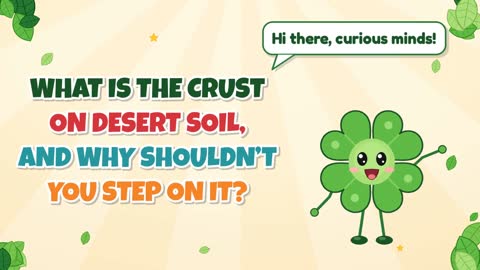 What Is the Crust on Desert Soil, and Why Shouldn’t You Step on It?