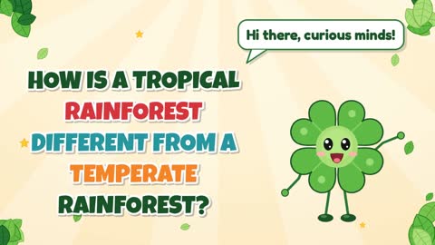 How Is a Tropical Rainforest Different From a Temperate Rainforest?