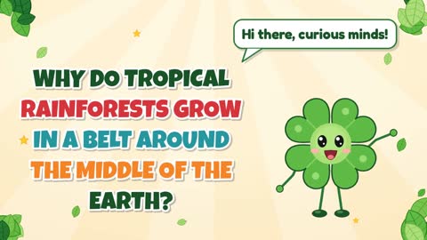 Why Do Tropical Rainforests Grow in a Belt Around the Middle of the Earth?