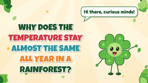 Why Does the Temperature Stay Almost the Same All Year in a Rainforest?