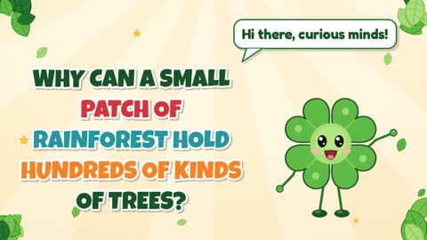 Why Can a Small Patch of Rainforest Hold Hundreds of Kinds of Trees?