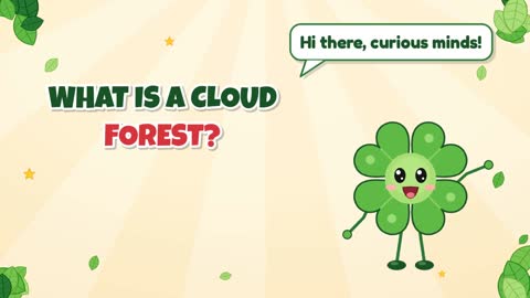 What Is a Cloud Forest?
