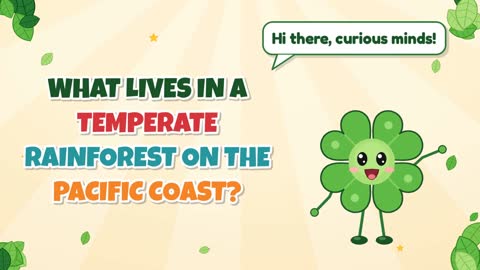 What Lives in a Temperate Rainforest on the Pacific Coast?
