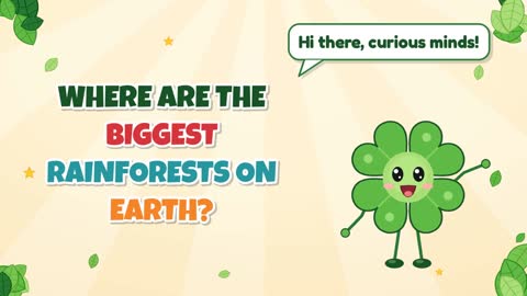 Where Are the Biggest Rainforests on Earth?