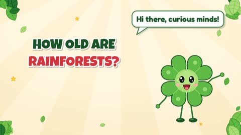 How Old Are Rainforests?