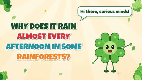 Why Does It Rain Almost Every Afternoon in Some Rainforests?