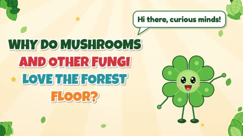 Why Do Mushrooms and Other Fungi Love the Forest Floor?