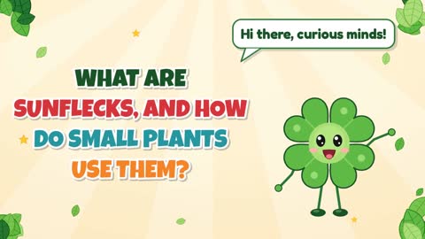 What Are Sunflecks, and How Do Small Plants Use Them?