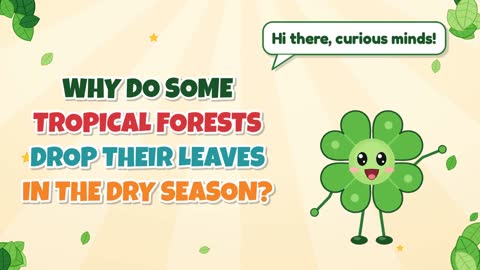 Why Do Some Tropical Forests Drop Their Leaves in the Dry Season?