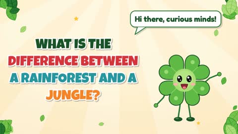 What Is the Difference Between a Rainforest and a Jungle?