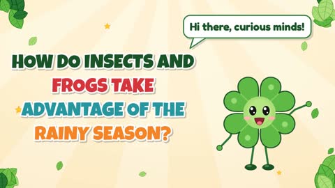 How Do Insects and Frogs Take Advantage of the Rainy Season?