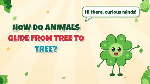 How Do Animals Glide From Tree to Tree?