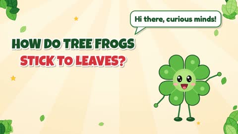 How Do Tree Frogs Stick to Leaves?