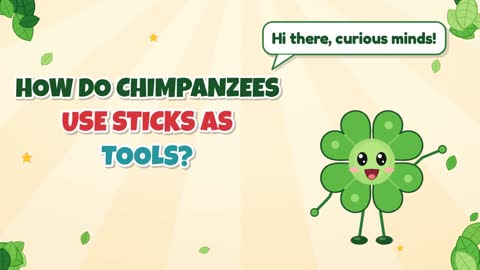 How Do Chimpanzees Use Sticks as Tools?