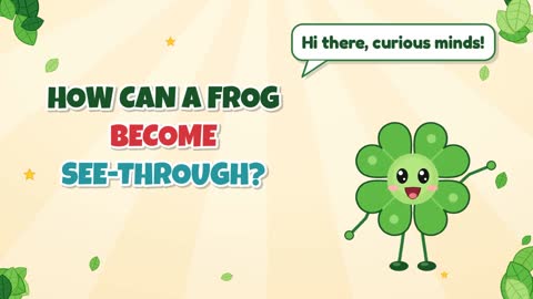 How Can a Frog Become See-Through?