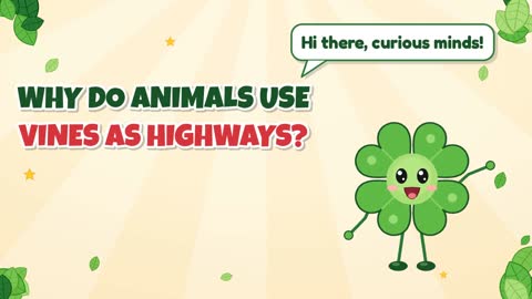 Why Do Animals Use Vines as Highways?