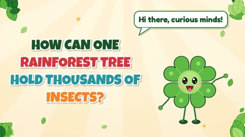 How Can One Rainforest Tree Hold Thousands of Insects?