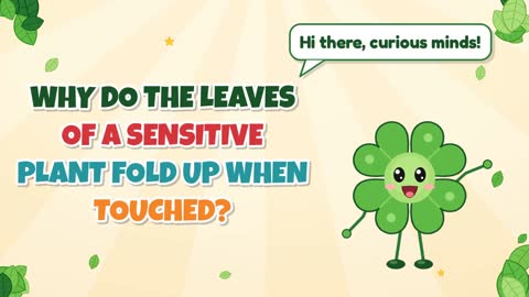 Why Do the Leaves of a Sensitive Plant Fold Up When Touched?