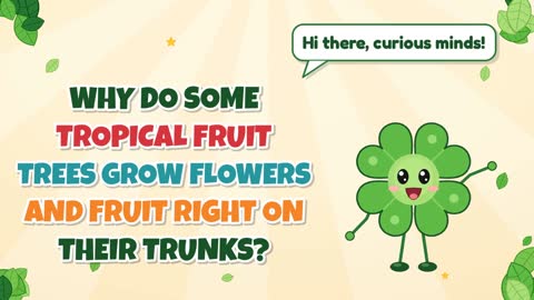 Why Do Some Tropical Fruit Trees Grow Flowers and Fruit Right on Their Trunks?