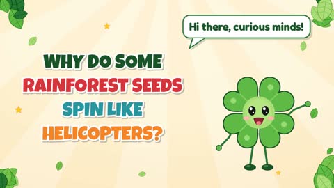 Why Do Some Rainforest Seeds Spin Like Helicopters?