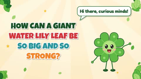 How Can a Giant Water Lily Leaf Be So Big and So Strong?