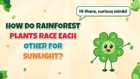 How Do Rainforest Plants Race Each Other for Sunlight?
